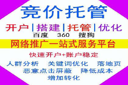 SEM托管服务案例：精准定位，高效转化